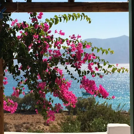 Appartement Apollon